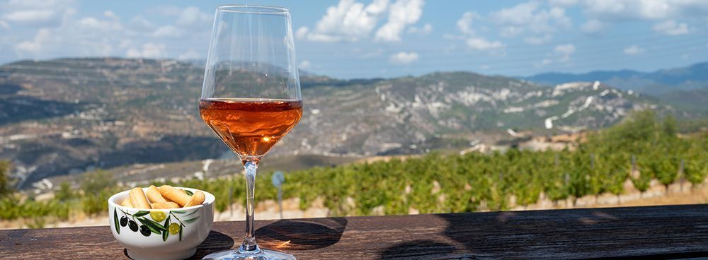 shutterstock_2049426629_barmalini_1000x368px.jpg