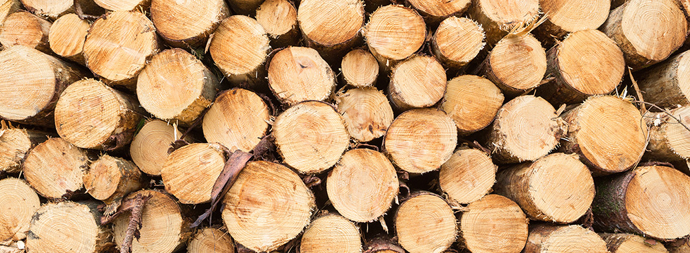 shutterstock_754705537_Michiel-Vaartjes_1000x368px.jpg
