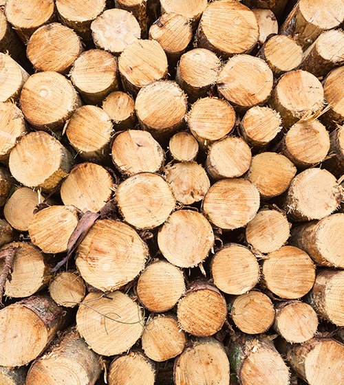 shutterstock_754705537_Michiel-Vaartjes_1000x368px.jpg