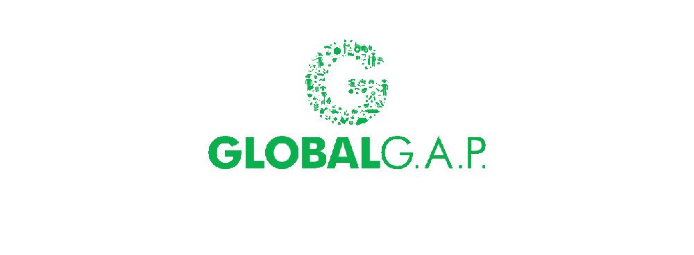 global-g-a-p-logo-png_seeklogo-302518-500x560px.jpg