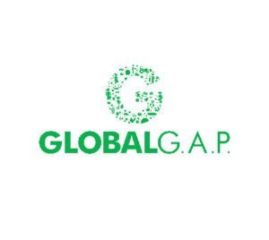 global g a p logo png seeklogo 302518 500x560px