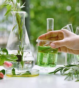 shutterstock 1481963861 ARTFULLY PHOTOGRAPHER 500x560px