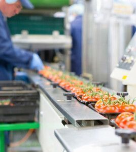 shutterstock 1866091186 Juice Flair 500x560px