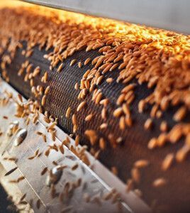 shutterstock 2014018358 Sata Production 500x560px