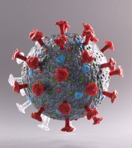 shutterstock 2489417433 H Ko 500x560px