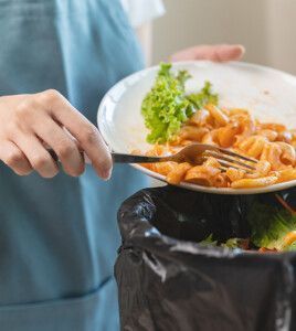 shutterstock 2510099151 Pormezz 500x560px